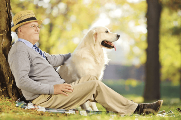 Caring for a Senior Dog: A Guide